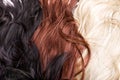 Hair texture Royalty Free Stock Photo