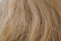 Hair texture color material lines