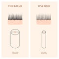 Hair thickness types chart of thin and thick strands
