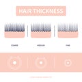 Hair thickness types chart of thin, medium, coarse strand width