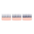 Hair thickness set on scalp skin cross-section icon