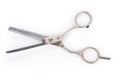 Hair Thinning Scissors