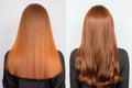 Hair Transformation From Sick, Cut, And Healthy To Vibrant Cool Tones - Before And After Straighten