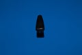 Hair trimmer Brush isolated on the blue background. Beard and hair clippers