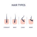 Hair types chart set of straigt, wavy, curly and kinky strands