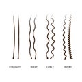 Hair types set. Congenital and acquired varieties of wavy and curly human and animal hair Royalty Free Stock Photo