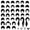 Hair, vector hairstyle