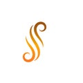 Hair wave logo vector icon template illustration