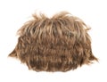 Hair wig isolated Royalty Free Stock Photo