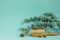 Hairbrush and eucalyptus on mint background. Hair loss problem.