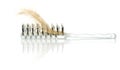 Hairbrush with lock of hair loss Royalty Free Stock Photo