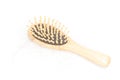 Hairbrush with lost hair