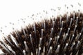 Hairbrush with mixed macro natural and plastic bristle Royalty Free Stock Photo