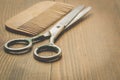 Hairbrushes, sprayer and a scissors on a wooden board, copy space. Selective focus Royalty Free Stock Photo