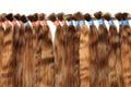 Natural, chocolate color, brown, shiny bundles of healthy hair extensions