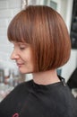 Haircut bob on bright mahogany hair of a young woman in a beauty salon Royalty Free Stock Photo