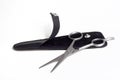 Haircutting scissor