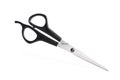 Haircutting Scissors Royalty Free Stock Photo