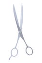 Hairdresser accessorie. Cartoon professional tool for barbershop. Salon barber accessory, scissors. Beauty fashion of