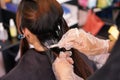 Hairdresser coloring woman`s hair.Selective focus