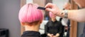 A hairdresser is combing the dyed pink short hair of the female client in hairdresser salon, back view. Royalty Free Stock Photo