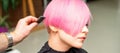 A hairdresser is combing the dyed pink short hair of the female client in a hairdresser salon. Royalty Free Stock Photo