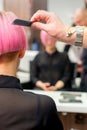 A hairdresser is combing the dyed pink short hair of the female client in hairdresser salon, back view. Royalty Free Stock Photo