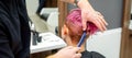 A hairdresser is combing the dyed pink wet short hair of the female client in the hairdresser salon, back view. Royalty Free Stock Photo