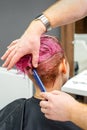A hairdresser is combing the dyed pink wet short hair of the female client in the hairdresser salon, back view. Royalty Free Stock Photo