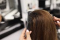 Hairdresser combing long hair of client in beauty salon closeup Royalty Free Stock Photo