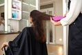 Hairdresser combs woman`s hair, hairdressing salon Royalty Free Stock Photo