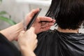 A hairdresser cuts a client`s hair in a beauty salon. Hairdresser`s hands with comb, scissors and hair shown close-up. The Royalty Free Stock Photo