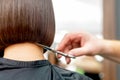 Hairdresser cuts hair tips of woman