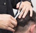 Hairdresser cuts men`s hair cut Royalty Free Stock Photo