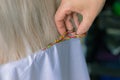 A hairdresser cuts women`s hair with scissors in a spa salon