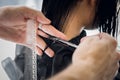 Hairdresser cutting client`s hair in salon with scissors closeup. Using a comb Royalty Free Stock Photo