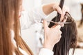 Hairdresser cutting hair. Hands with comb and scissors Royalty Free Stock Photo