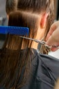 Hairdresser cutting long hair of woman Royalty Free Stock Photo