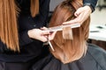 Hairdresser is cutting woman hair Royalty Free Stock Photo