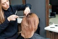 Hairdresser is cutting woman hair Royalty Free Stock Photo