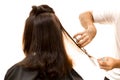 Hairdresser cutting woman hair with scissors isolated Royalty Free Stock Photo