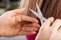 Hairdresser cutting woman's hair