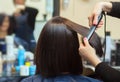 The hairdresser does aligns the hair with hair iron to a young girl, brunette in a beauty salon