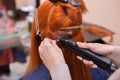 The hairdresser does hair extensions to a young, red-haired girl, in a beauty salon