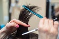 The hairdresser does a haircut of hair to a young girl, a brunette Royalty Free Stock Photo