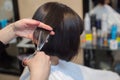 The hairdresser does a haircut with hot scissors of hair to a young girl, a brunette Royalty Free Stock Photo