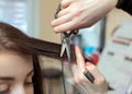 The hairdresser does a haircut with hot scissors of hair to a young girl, a brunette in a beauty salon.Professional hair care and Royalty Free Stock Photo