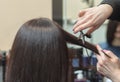 The hairdresser does a haircut with hot scissors of hair to a young girl, a brunette in a beauty salon.Professional hair care and Royalty Free Stock Photo