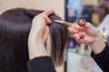 The hairdresser does a haircut with scissors of hair to a young girl, a brunette in a beauty salon.  Professional hair care Royalty Free Stock Photo