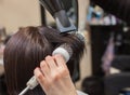 The hairdresser dries her hair a brunette girl Royalty Free Stock Photo